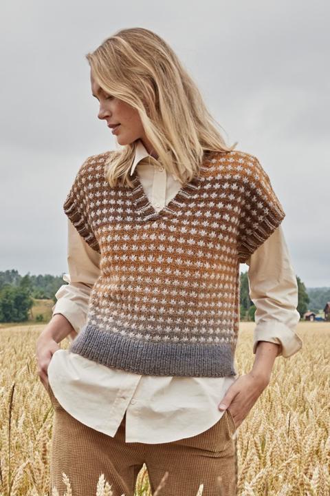 Anleitung Nr. 17177 Pullover aus Gomitolo Alpaca