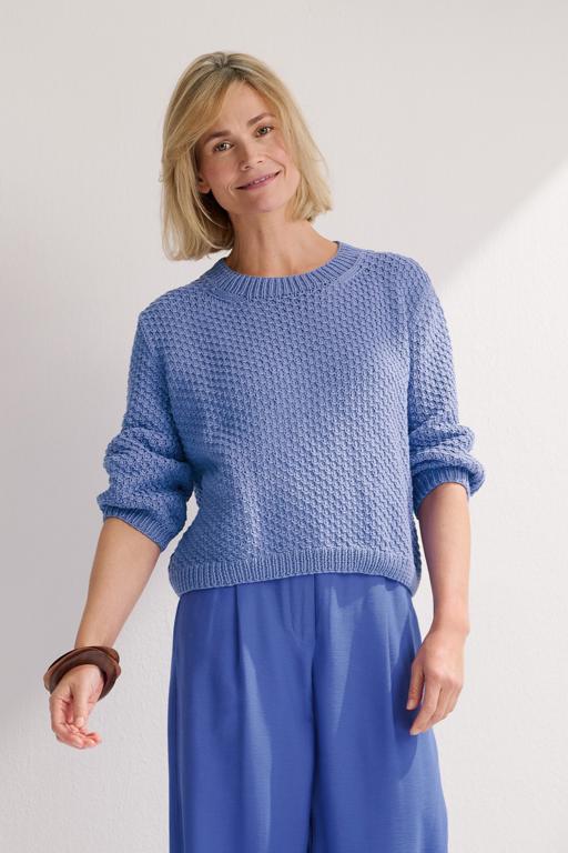 Anleitung Nr. 18565 Pullover aus Promessa