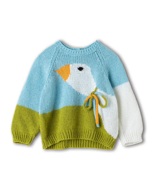 Anleitung Nr. 18728 Pullover aus Sottile