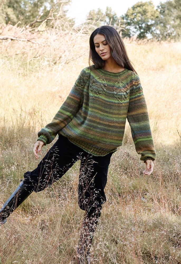 Anleitung Nr. 17895 Pullover aus Gomitolo Magico