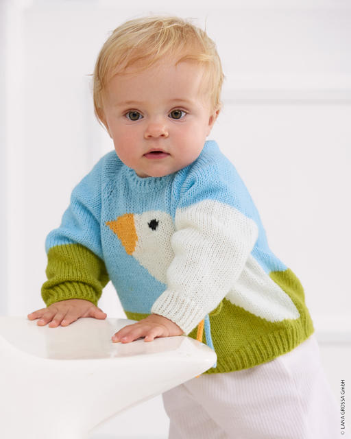 Anleitung Nr. 18728 Pullover aus Sottile