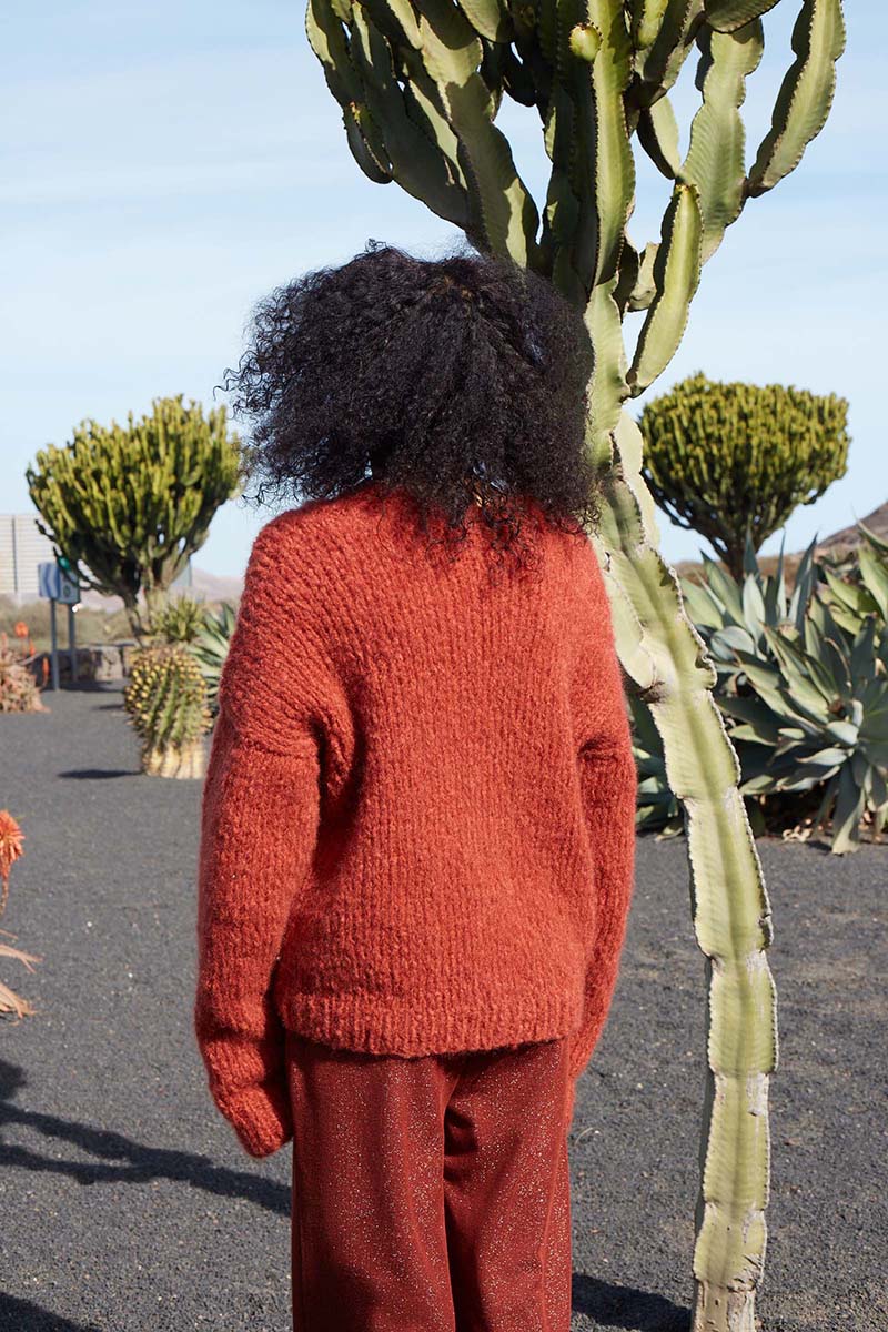 Anleitung Nr. 17804 Pullover aus Desire (Lang Yarns wooladdicts)