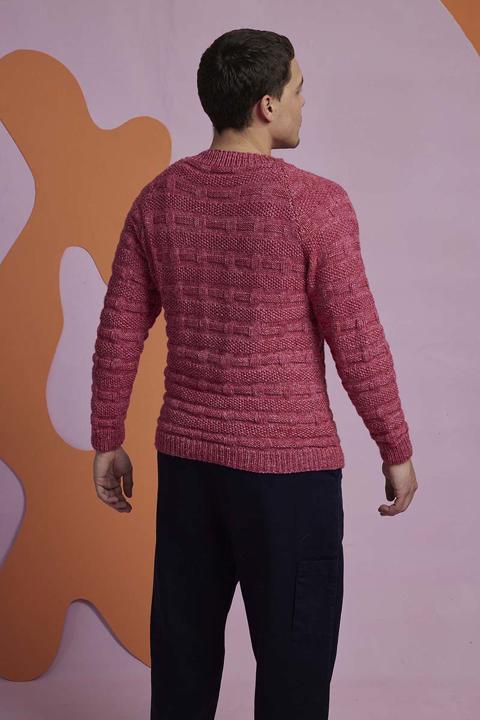 Anleitung Nr 17706 Herrenpullover "Dan" aus Fortuna