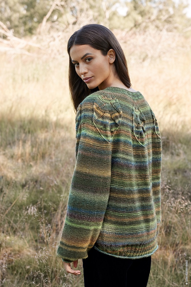 Anleitung Nr. 17895 Pullover aus Gomitolo Magico