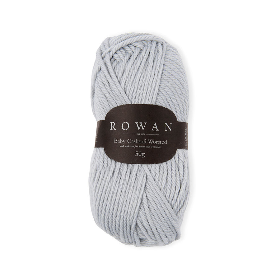 10011 Silver