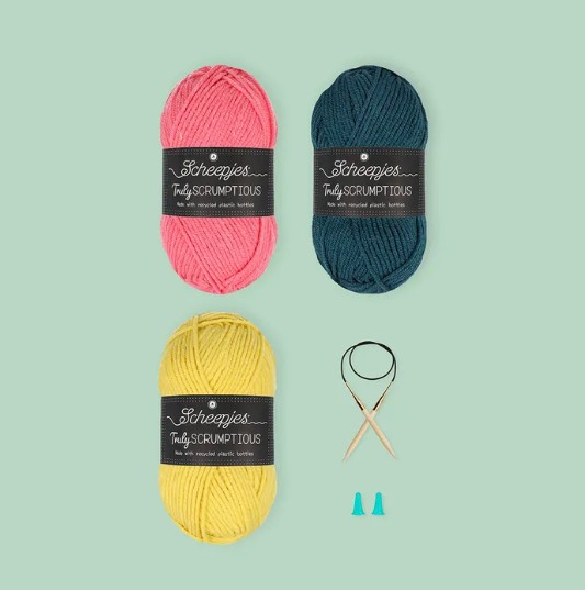 Colourblock Schal - Strickkit für Anfänger (Scheepjes)