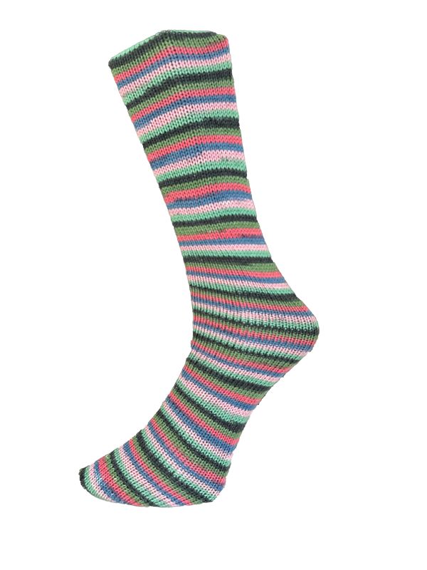 Mally Socks 2024 (Ferner Wolle)